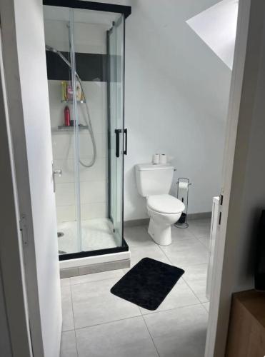 une salle de bain avec une douche en verre et des toilettes dans l'établissement Maison de ville charmante, à Quessoy