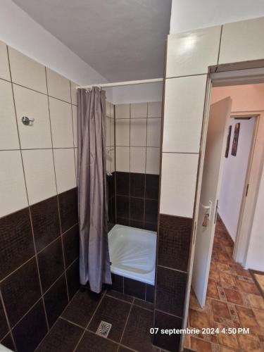 a bathroom with a shower with a shower curtain at Pensiunea CASA MAXIMUS in Moneasa
