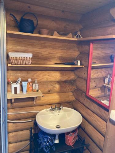 a bathroom with a sink and wooden walls at Willa Axe in Hurissalo