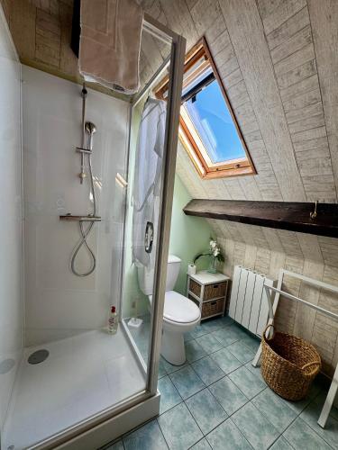 a bathroom with a shower and a toilet in a attic at Les Vieilles Digues in Beauvoir