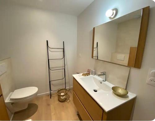 une salle de bain avec toilettes, lavabo et miroir dans l'établissement Appartement cosy face à la mer, à Larmor-Plage
