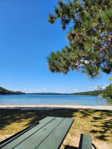 a picnic table sitting on a beach next to a lake at NEW! Peaceful Retreat at Nary Hill in Wolfeboro