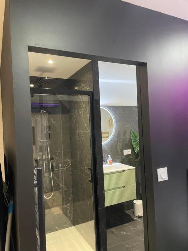 une salle de bain avec douche et lavabo dans l'établissement Logement atypique-Loma room, à Fougères