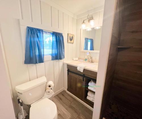 a bathroom with a toilet and a sink at Shoreline Pines in Suttons Bay