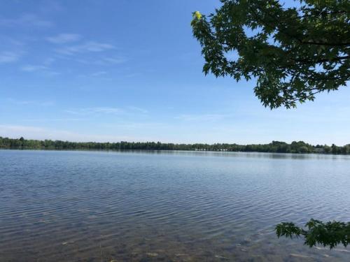a view of a large lake with trees in the background at The Dragonfly in Elk Rapids