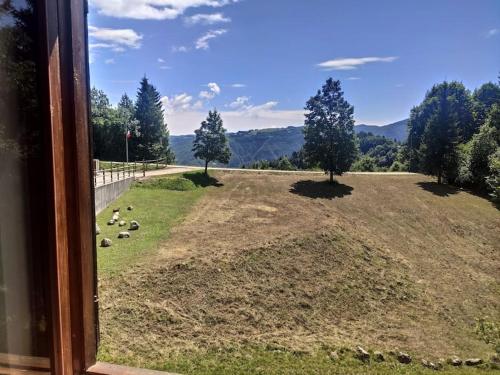 einen Blick aus dem Fenster eines Feldes mit Schafen in der Unterkunft Tonezza Home in Tonezza del Cimone