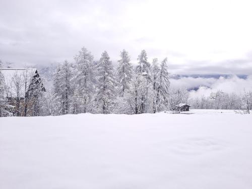 T2 lumineux en rdc, avec vue panoramique v zimě