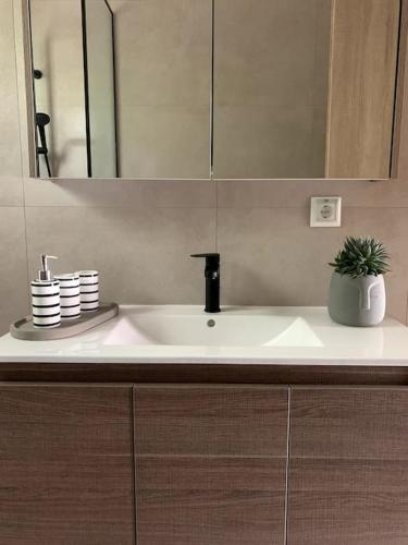 a bathroom sink with a mirror and a plant on it at Nerinalia Residence in Áyioi Apóstoloi