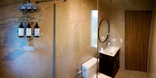 a bathroom with a shower with a sink and a mirror at Blizu in Villa La Angostura