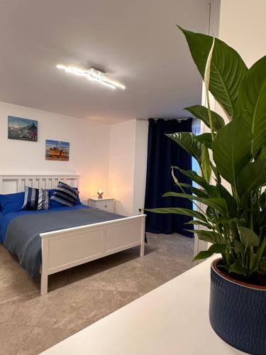 Aya's Snaresbrook Apartment photo 3