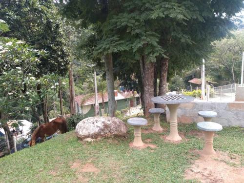 a group of tables in a yard with a cow at Chácara dos Sonhos em Mairiporã in Mairiporã