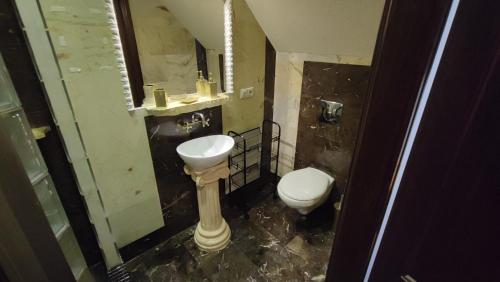a bathroom with a toilet and a sink and a mirror at Hotel von Donnersmarck in Miasteczko Śląskie