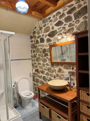 une salle de bain avec un lavabo et des toilettes dans l'établissement Moulin du pont rouge, à Soudaine-Lavinadière