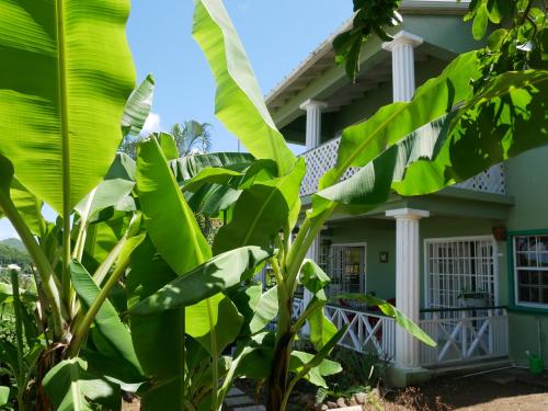 Galería fotográfica de The Heights Mirage Villa 1 en Gros Islet
