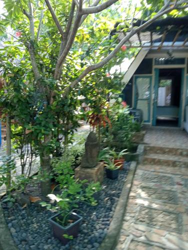 a garden with trees and plants in front of a house at Lombok Sunset Hideaway in Lembar