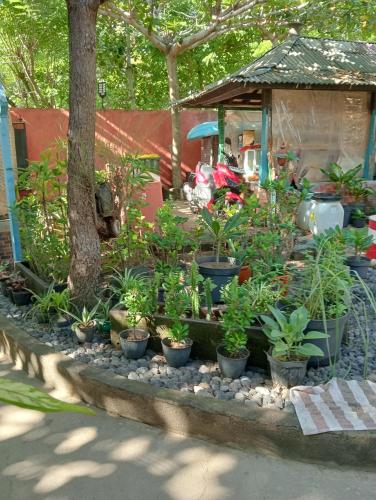 a garden with potted plants and a gazebo at Lombok Sunset Hideaway in Lembar
