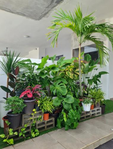 Сад в Jonker Street New Cozy Home 20pax Swimming Pool Karaoke