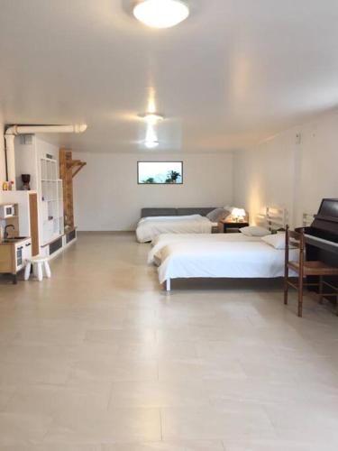 - une grande chambre avec 2 lits et un piano dans l'établissement Bellevue de Collonges, à Collonges-sous-Salève