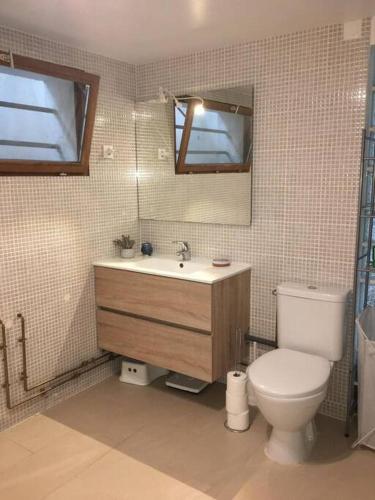 une salle de bain avec toilettes, lavabo et miroir dans l'établissement Bellevue de Collonges, à Collonges-sous-Salève
