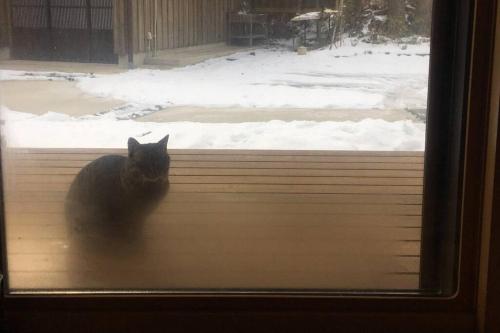 a black cat sitting in front of a window at 一棟貸切 古民家民泊あさひ in Sado