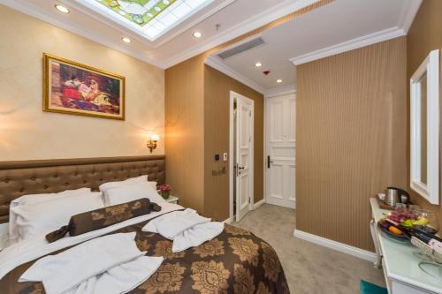 a bedroom with a bed and a skylight at Alpek Hotel in Istanbul