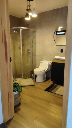 a bathroom with a shower and a toilet and a sink at Villa Alejandra Cabaña in Tapalpa