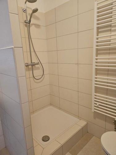 a bathroom with a shower and a toilet at Villa Dietel Greiz in Greiz