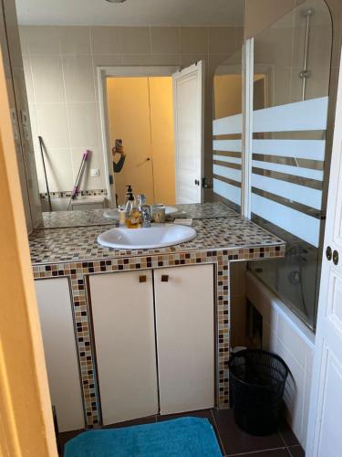 une salle de bain avec un lavabo et un miroir dans l'établissement Appartement porte de paris, à Bourg-la-Reine