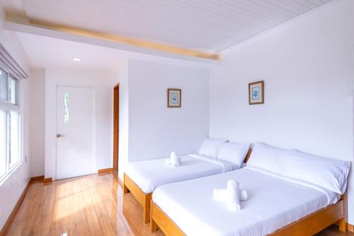 Katil atau katil-katil dalam bilik di RiCio Haus