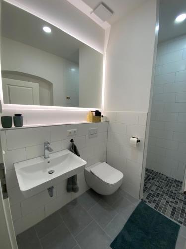 un bagno con lavandino, WC e specchio di Sun & Moon Apartments Erfurt a Erfurt