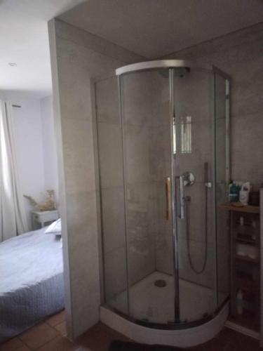 - une douche avec une porte en verre dans la chambre dans l'établissement Ancienne Gare, à Arles