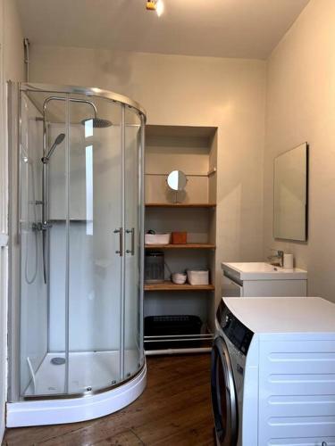 une salle de bain avec douche et machine à laver dans l'établissement L'Ossau - Rare et Atypique - Parking Privé, à Pau