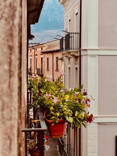 a row of potted plants on the side of a building at Regina d’Aragona casa vacanze in Sulmona