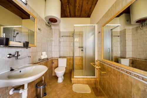 a bathroom with a sink and a toilet and a shower at Penzion Kameňák in Horní Planá