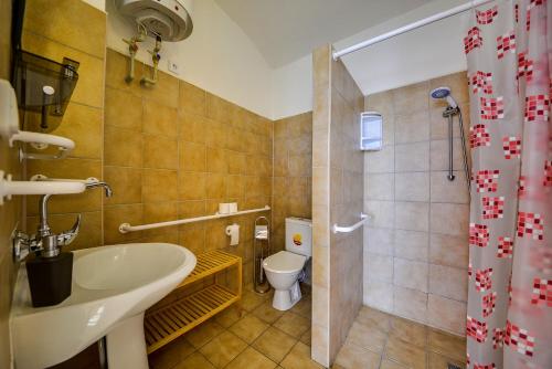a bathroom with a sink and a toilet at Penzion Kameňák in Horní Planá