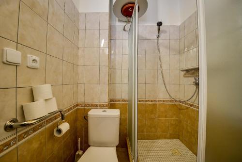 a small bathroom with a toilet and a shower at Penzion Kameňák in Horní Planá