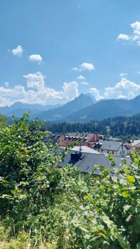 a view of a town with mountains in the background at Villa Rosa Tarvisio in Tarvisio