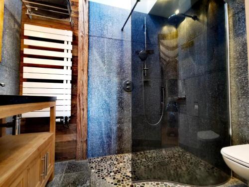 une salle de bain avec une douche avec un lavabo et des toilettes dans l'établissement Chalet La SilÈne - Chalet de charme aux Chavannes avec vue et confort MAE-3411, aux Gets