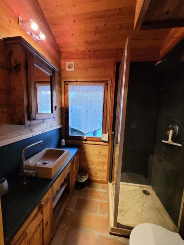 une petite salle de bain avec un lavabo et une douche dans l'établissement Résidence Les PrÉs D'hastings - Chalet cocooning Ambiance montagnarde & jardin MAE-3471, aux Gets