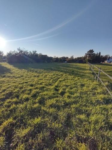 a field of green grass with a fence at B&B Buiten Gewoon Callantsoog in Callantsoog