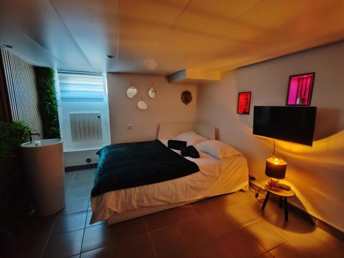 une chambre avec un lit et une télévision à écran plat dans l'établissement L'Eden, maison atypique, à Nancy