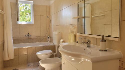 a bathroom with a sink and a toilet and a mirror at Apartments Adriana in Omišalj