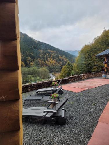 a group of boats sitting on the ground with a view at RALPH Cabin- Apuseni Mountains, Transylvania in Bucium