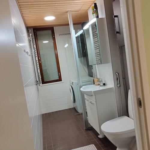 un bagno con wc, doccia e lavandino di Skandinavisen taiteilijan 2 h huoneisto 2 a Lahti