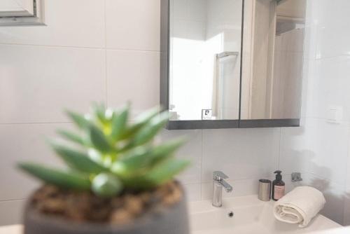 a bathroom with a potted plant sitting on a sink at Harmony in Perea
