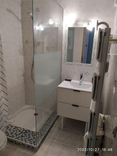 une salle de bain avec une douche, un lavabo et des toilettes dans l'établissement Maison proche des plages et du marché de Noël, à Alénya