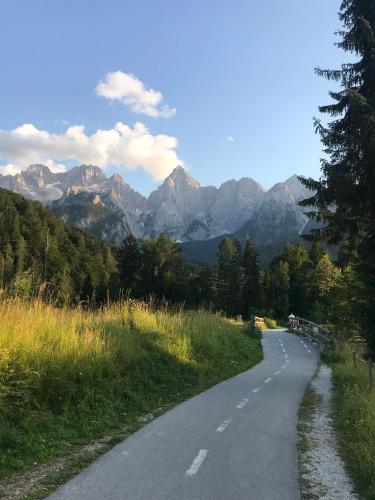a winding road with mountains in the background at Villa Rosa Tarvisio in Tarvisio