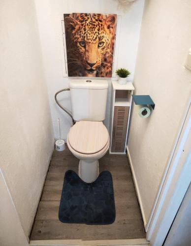 La salle de bains est pourvue de toilettes avec une photo d'un tigre. dans l'établissement La Perle Marine, Cosy et rénové, 200 m de la plage, 1 chambre, parking et Wifi, à Sète