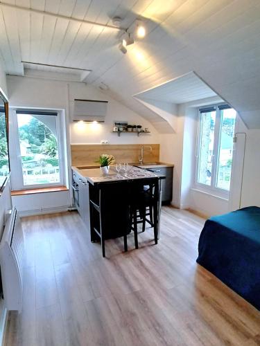 Kuchyň nebo kuchyňský kout v ubytování Appartement à côté du port de Ploumanac'h