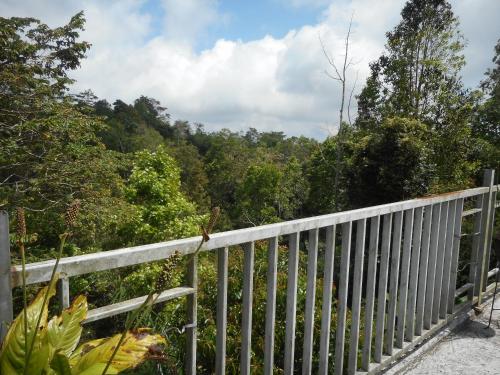 a white fence with trees in the background at Terrace Homestay Besakih in Besakih
